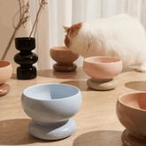 Makesure CALORIE Pet Bowl