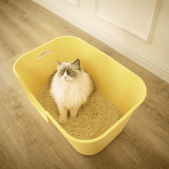 Mango Extra Size High Edge Ultra-light Weight Cat Litter Box For Large Cat