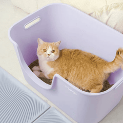 Mango Extra Size High Edge Ultra-light Weight Cat Litter Box For Large Cat
