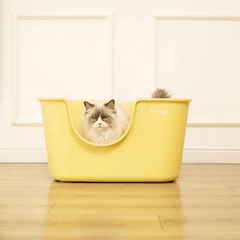 Mango Extra Size High Edge Ultra-light Weight Cat Litter Box For Large Cat