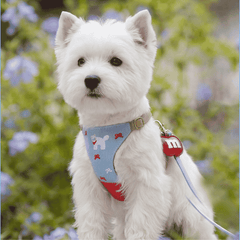 MIAO Orchard Denim Harness & Leash Set