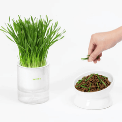 Michu All-in-One Soil-Free Cat Grass Grow Kit