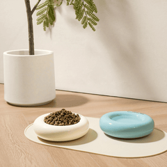 Michu Bagel Ceramic Cat Bowl – Anti-Whisker Wide Shallow Cat Food Bowl