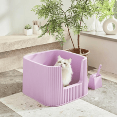 Michu XXL Container Cat Litter Box with Scoop