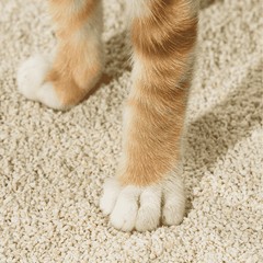 Michu Natural Crushed Tofu Cat Litter for Kittens and Small Animals 2.5kg/6L