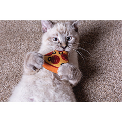 Multipet Pizza Catnip Cat Toy Assorted Colors