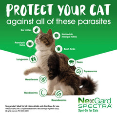 NexGard Spectra 0.8 - 2.4kg Cat Flea Tick & Worm Spot-On