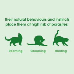 NexGard Spectra 2.5 - 7.5kg Cat Flea Tick & Worm Spot-On