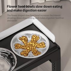 Pakeway Lifting Bowl With Five Height Adjustable(One Steel Bowl, One Slow Feeder)