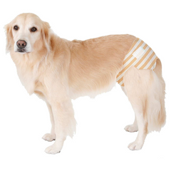 Petio Zuttone Disposable Paper Diaper Puppy Dog Nappy 4L 8pcs