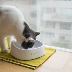 PETKIT FRESH Pet Smart Bowl – Polka Dot