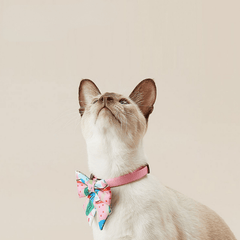 PETKIT Pet Bow Tie Collar – Midsummer