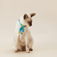 PETKIT Pet Necktie Collar – Cheerful Color