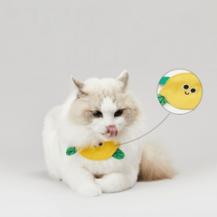 PETKIT Pet Saliva Towel Collar – Lemon