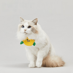 PETKIT Pet Saliva Towel Collar – Lemon