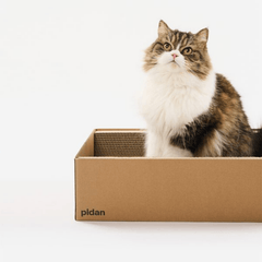 Pidan Cat Scratcher Carton Type