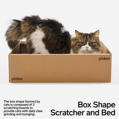 Pidan Cat Scratcher Carton Type