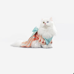 Pidan x Honor of Kings Pet Clothes YAO