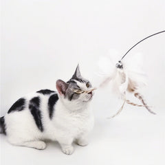 Pikapet Feather Teaser Cat Toy