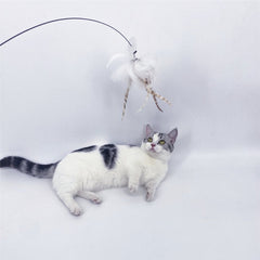 Pikapet Feather Teaser Cat Toy