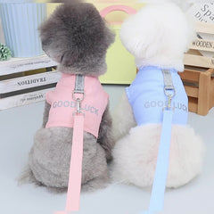 Pikapet Good Luck Pet Walking Leash and Harness