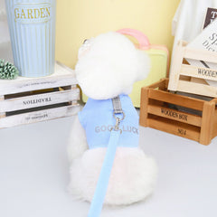 Pikapet Good Luck Pet Walking Leash and Harness