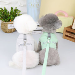 Pikapet Good Luck Pet Walking Leash and Harness
