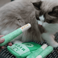 Pikapet MEOW Premium Catnip Toy Set