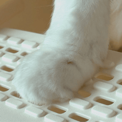 Pikapet Open Cat Litter Box