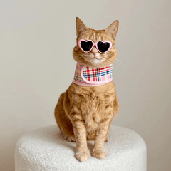 Princess Honeybelle X Catventure - Escape Proof Cat Harness - Pink Tartan