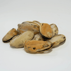 RAFA Raw Freeze-Dried Cat & Dog Treats Human-Grade Green Lipped Mussels 60g