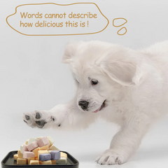 RANOVA Dog and Cat Treats Freeze Dried Yogurt Cubes Mix Flavour 40g