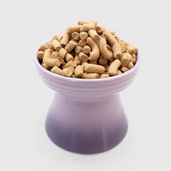 RANOVA Freeze Dried Adult Cat Food Chicken and Salmon Recipe 450g