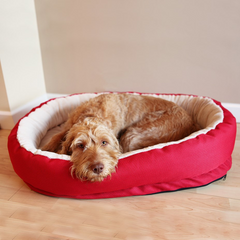 Rosewood Dog Bed Red Orthopedic