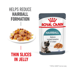 Royal Canin Adult Hairball Care Wet Cat Food Pouches in Jelly 12 x 85g