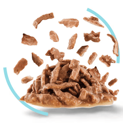 Royal Canin Adult Sensory Feel Wet Cat Food Pouches in Gravy 12 x 85g