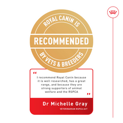 Royal Canin British Shorthair Adult Dry Cat Food