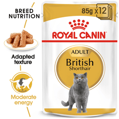 Royal Canin British Shorthair Cat Wet Food 12 x 85g