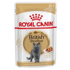 Royal Canin British Shorthair Cat Wet Food 12 x 85g