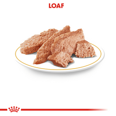 Royal Canin Chihuahua Adult Wet Dog Food Pouches 12 x 85g