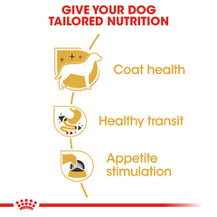 Royal Canin Chihuahua Adult Wet Dog Food Pouches 12 x 85g