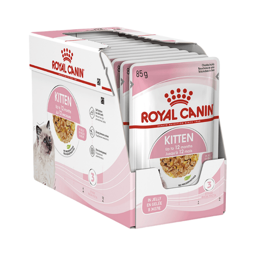Royal Canin Kitten Wet Food in Jelly