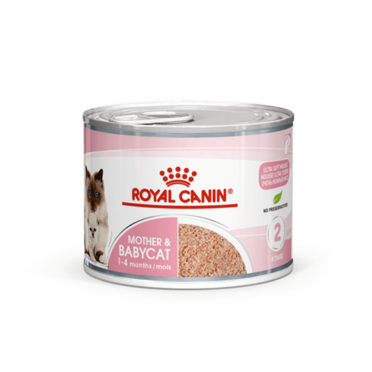 Royal Canin Mother And Babycat Mousse Cat Wet Food Cans