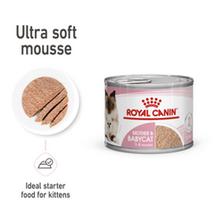 Royal Canin Mother And Babycat Mousse Cat Wet Food Cans