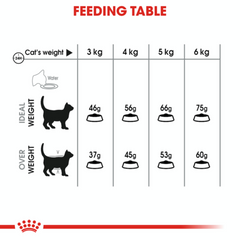 Royal Canin Dental Care Adult Dry Cat Food 3.5kg