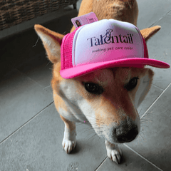 Talentail Premium Summer Pet Cap