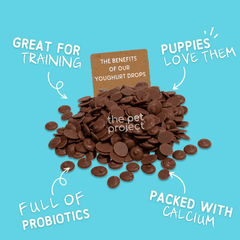 The Pet Project Carob Yoghurt Drops Dog Treats 250g