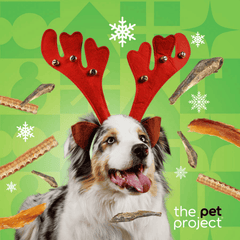 The Pet Project Christmas Seafood Platter Dog Treats 100g