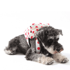 Touchdog Rabbit Ears Picnic Bag – Polka Dot