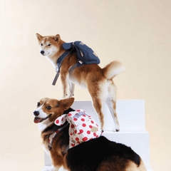 Touchdog Rabbit Ears Picnic Bag – Polka Dot